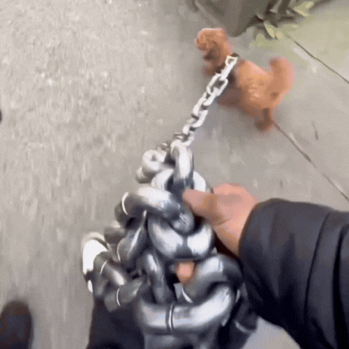 Chain Dog Leash